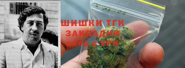 индика Козловка