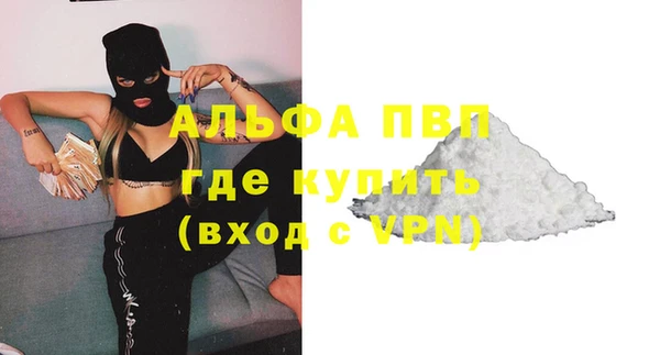 индика Козловка