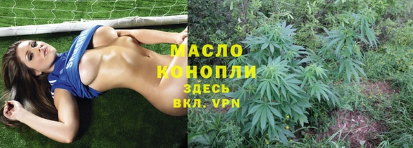 индика Козловка
