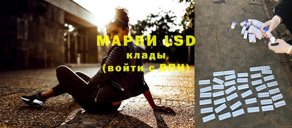 амф Валдай