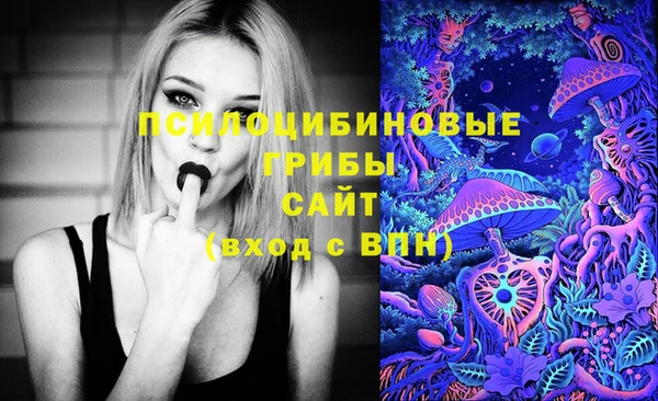 индика Козловка