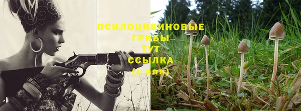 a pvp Кодинск