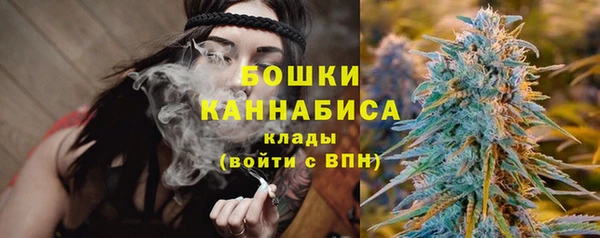 индика Козловка